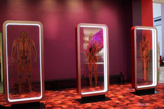 The Health Museum